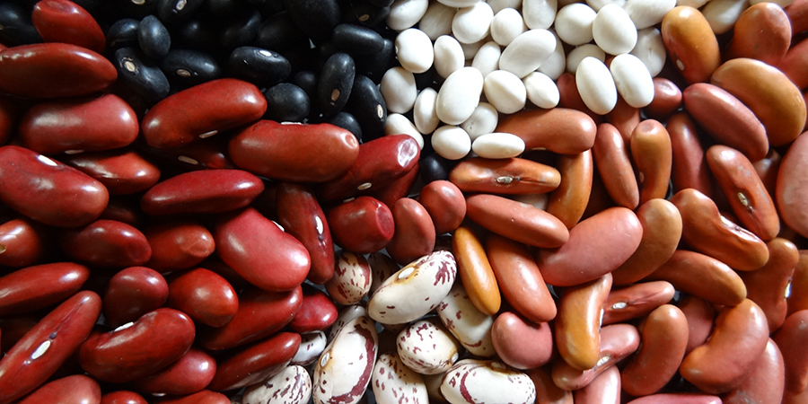 Different coloured beans